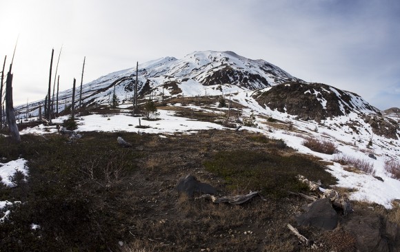 Trip Report: Mount St. Helens East 1-31-15