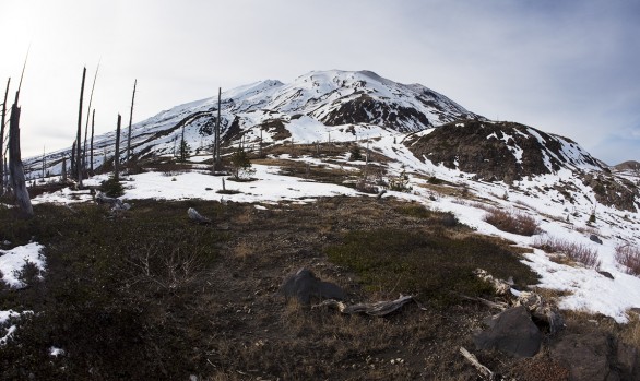 Trip Report: Mount St. Helens East 1-31-15