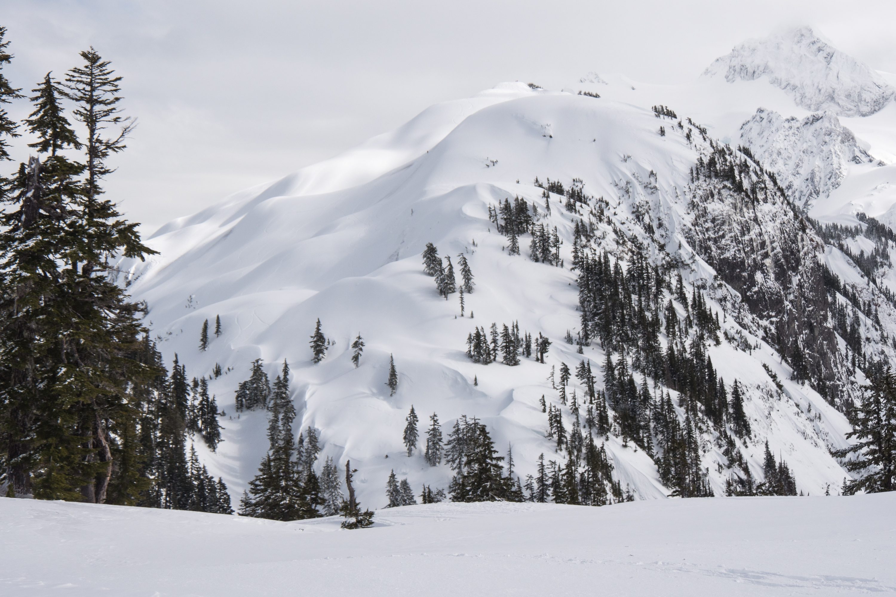 The Shuksan Arm