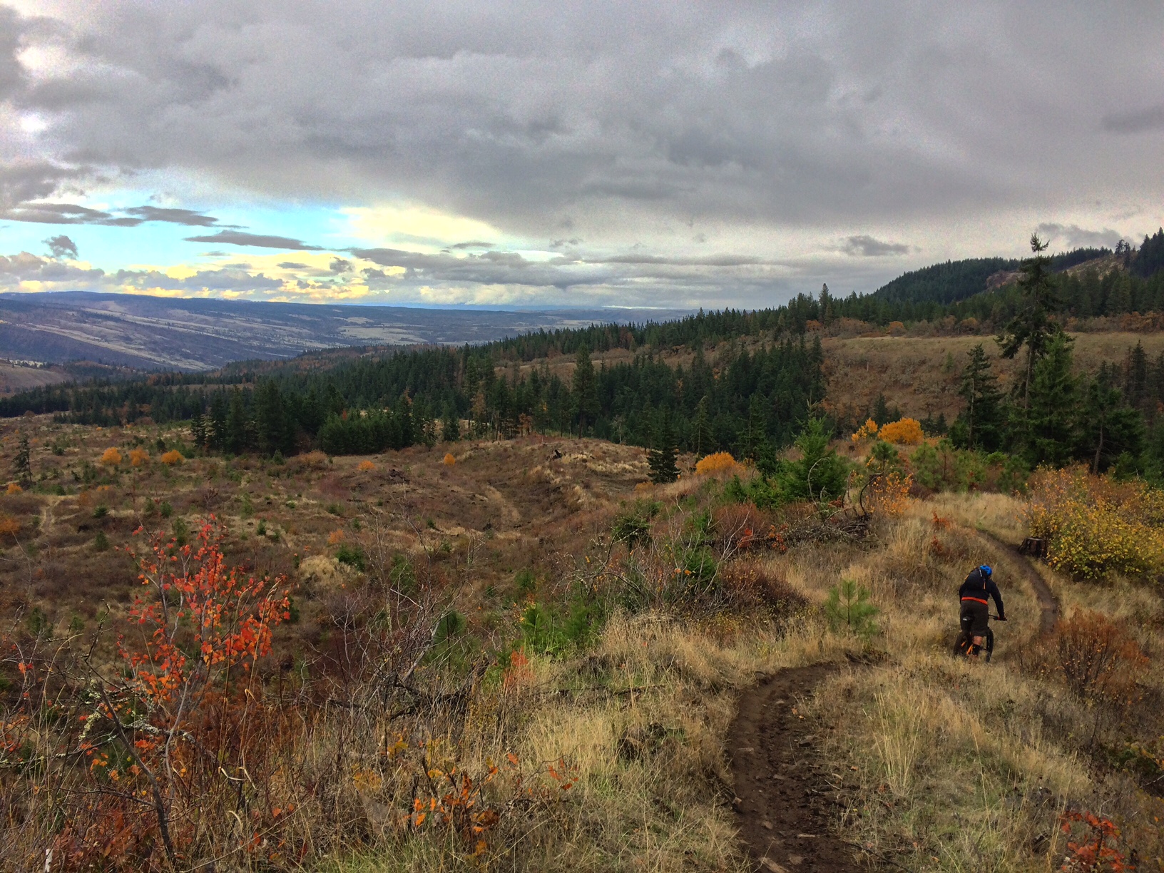 Mountain Biking