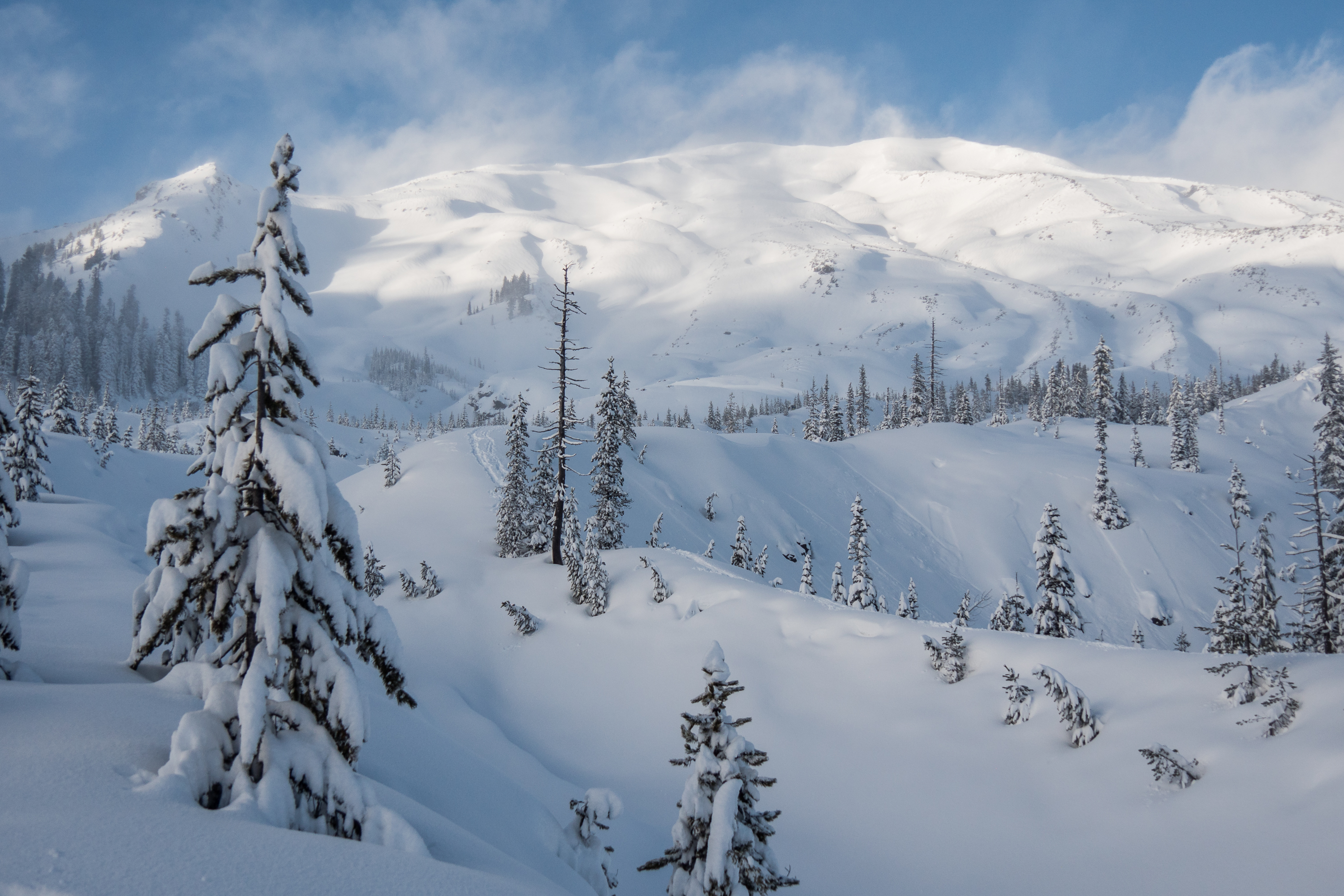 Mt. St. Helens – Above Chocolate Falls